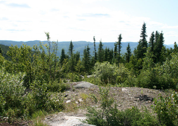 Awesome Adventure | Driving A Dune Buggy in Sauguenay Quebec