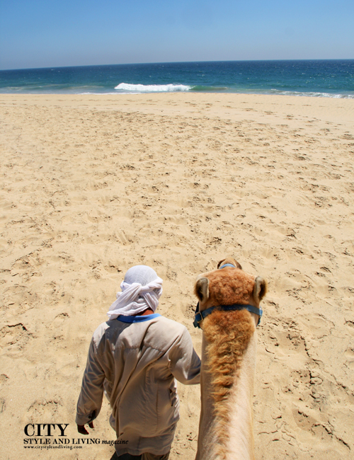 Awesome Adventure | Cabo Adventures, Cabo San Lucas