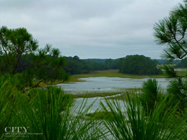 Kiawah-Island-Golf-Resort-Natural-Beauty