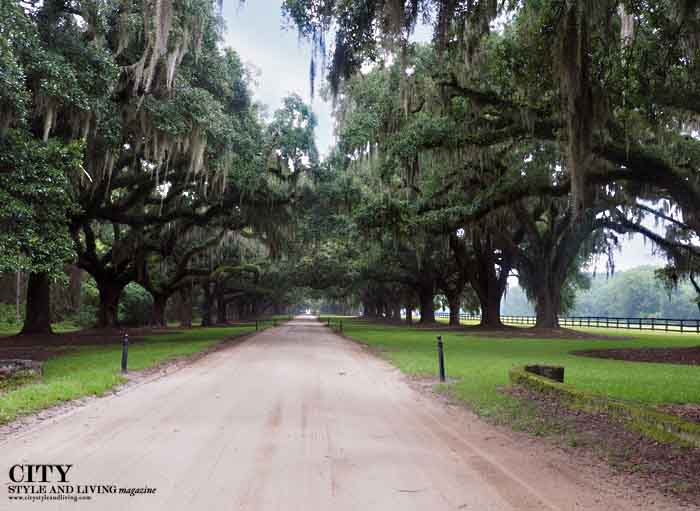 City style and living magazine style fashion blogger Boone Hall Plantation Charleston