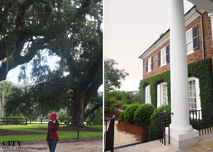 City style and living magazine style fashion blogger Boone Hall Plantation Charleston velvet