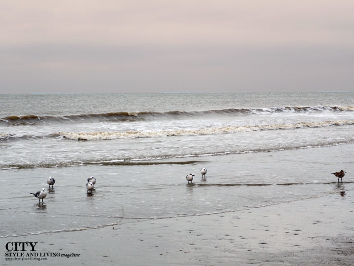 City style and living magazine style fashion blogger Kiawah island south carolina ocean