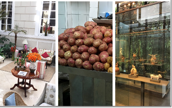 City Style and Living Magazine quito market