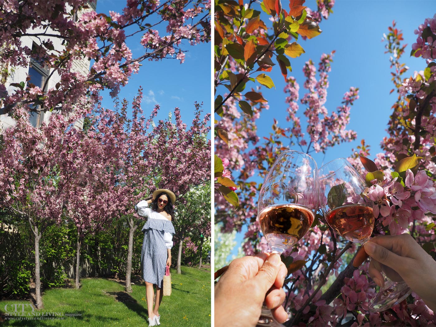 City style and living magazine The Editors Notebook style fashion blogger Shivana Maharaj summer picnic and gingham dress with mules drinking rose