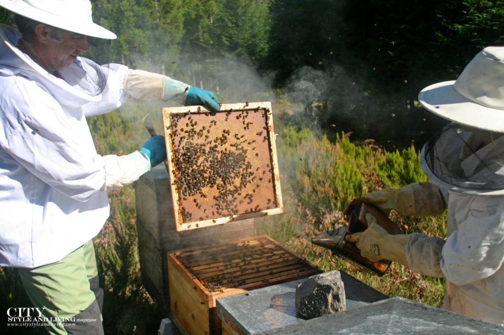 City Style and Living Magazine Travel The Azores Portugal Furnas Lake Villas Beekeeping