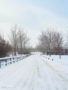 City Style and Living Magazine Editors Letter Winter 2017/18 Winter Scene in Calgary