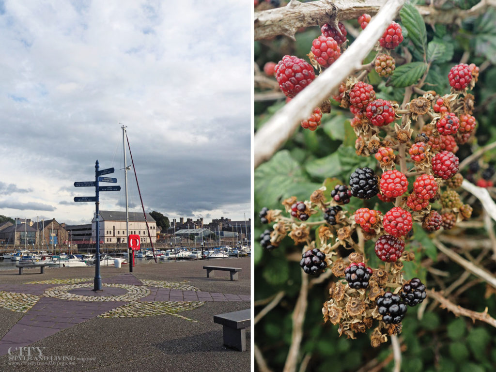 City Style and Living Magazine Winter 2018 Travel Wales Uk Snowdonia Blackberries