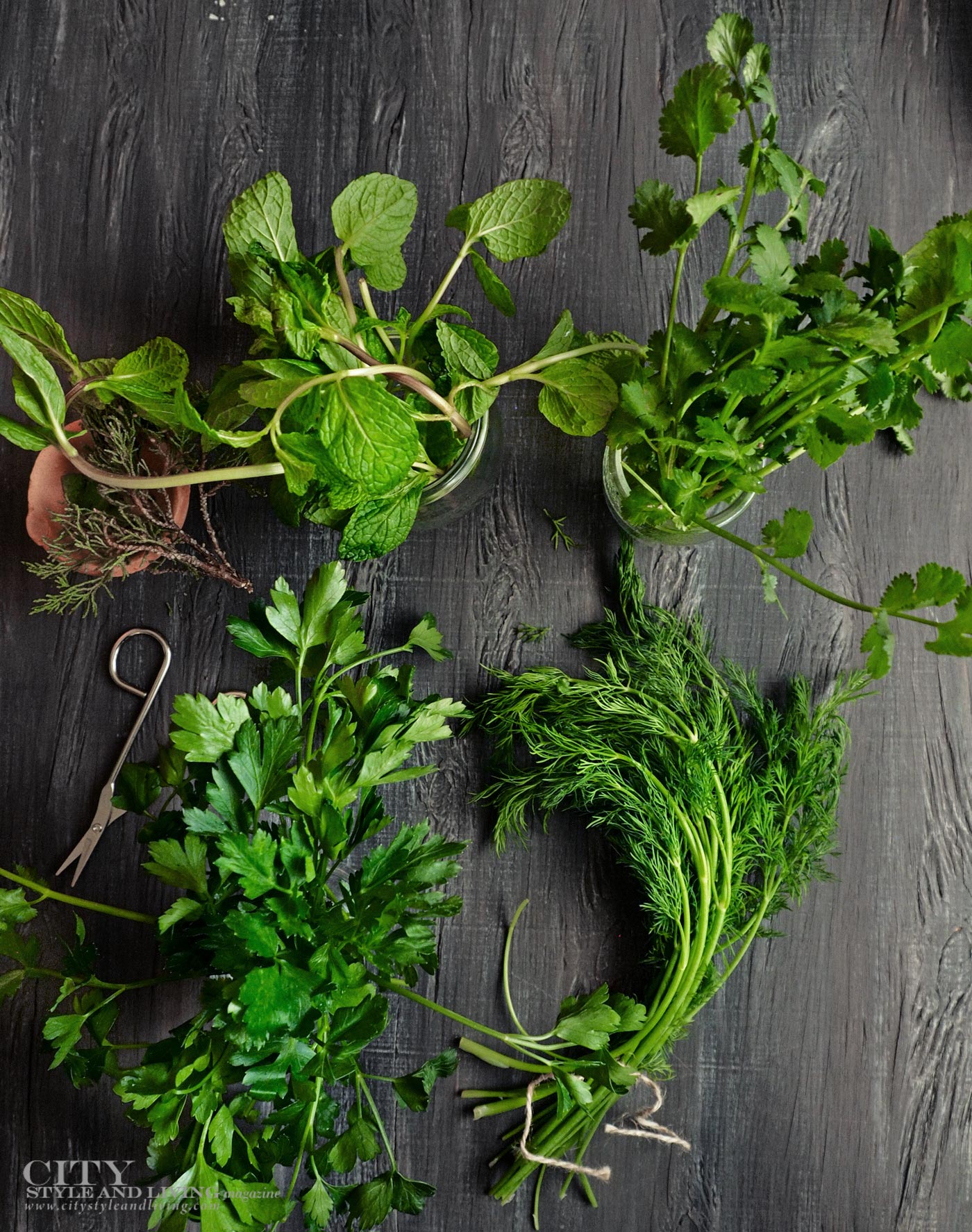 City Style and Living Magazine Food Fall 2019 Herbs to brighten any dish